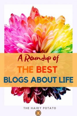 the best blogs about life pin